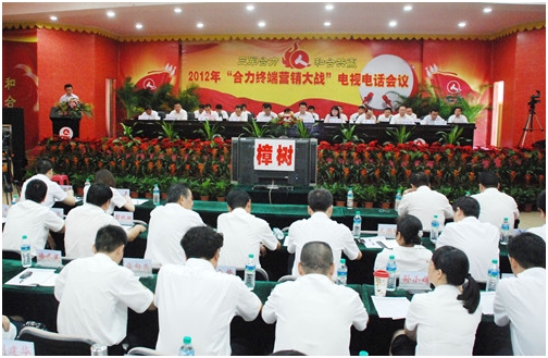 集團公司召開全國營銷電視電話會議