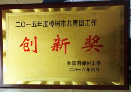 為“五四”喝彩，向青春致敬——集團(tuán)團(tuán)委獲2015年度樟樹(shù)市共青團(tuán)工作創(chuàng)新獎(jiǎng)