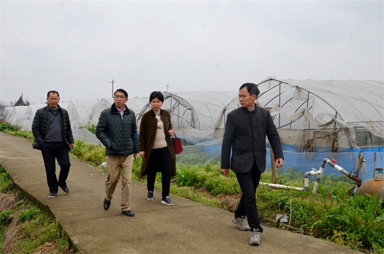 仁和集團開展精準扶貧工作紀實