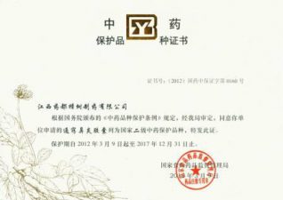 通竅鼻炎膠囊中保證書